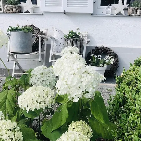 Haus Ruebezahl Gasthof 4*