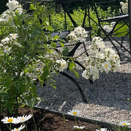 Ruebezahl Guest house